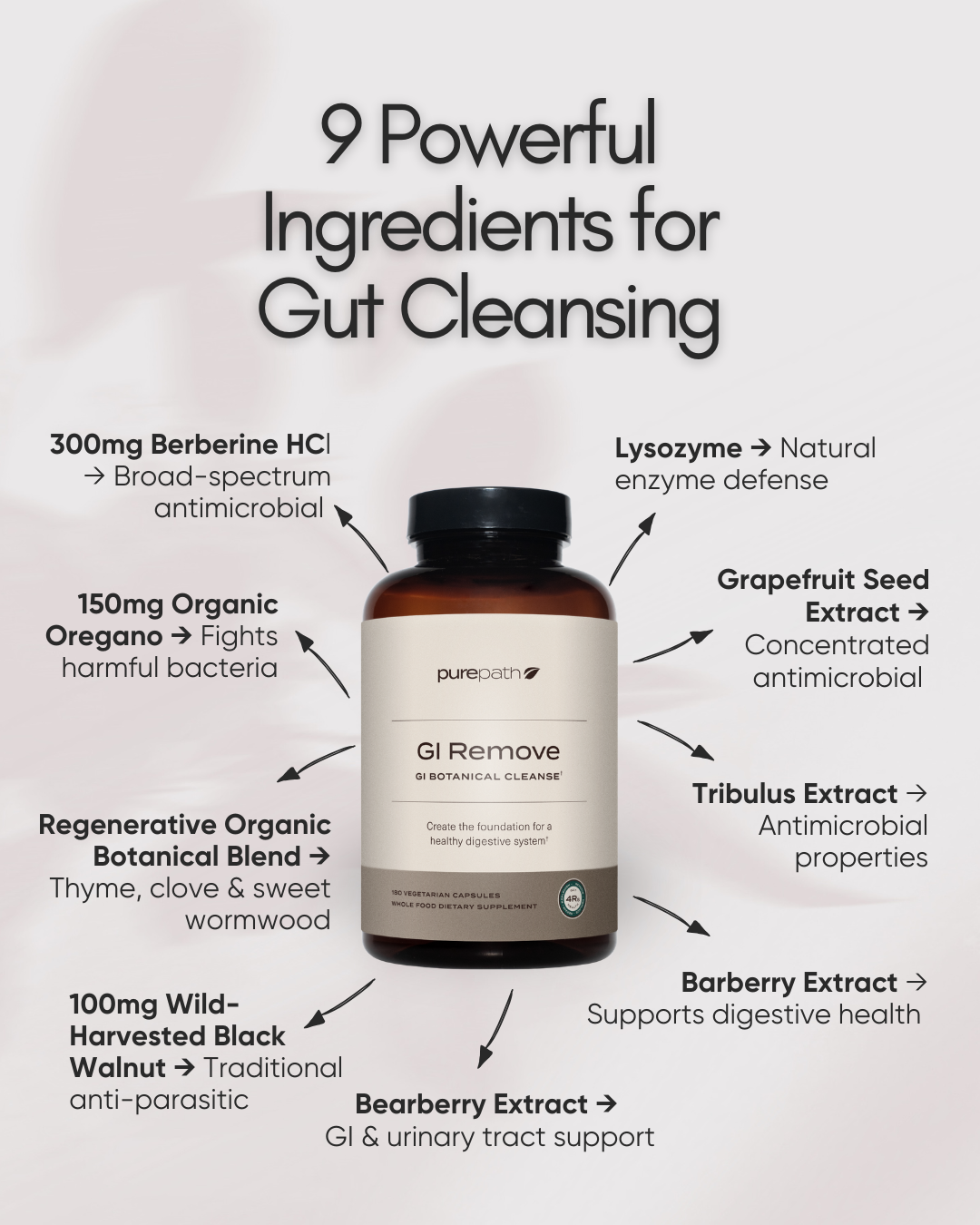 PurePath GI Remove – Berberine & Regenerative Organic Gut Cleanse for SIBO, Candida & Bacterial Overgrowth | 4R Protocol Step 1