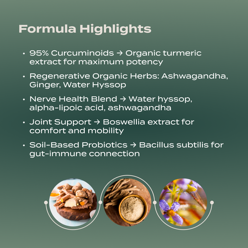 PurePath Curcumin + Nerve Support – Organic Turmeric Extract with Ashwagandha, Alpha-Lipoic Acid & Regenerative Herbs for Joint, Nerve & Immune Health