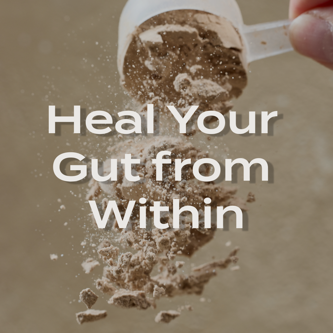 PurePath GI Repair – Gut Lining Support with L-Glutamine, Zinc Carnosine & Regenerative Organic Botanicals