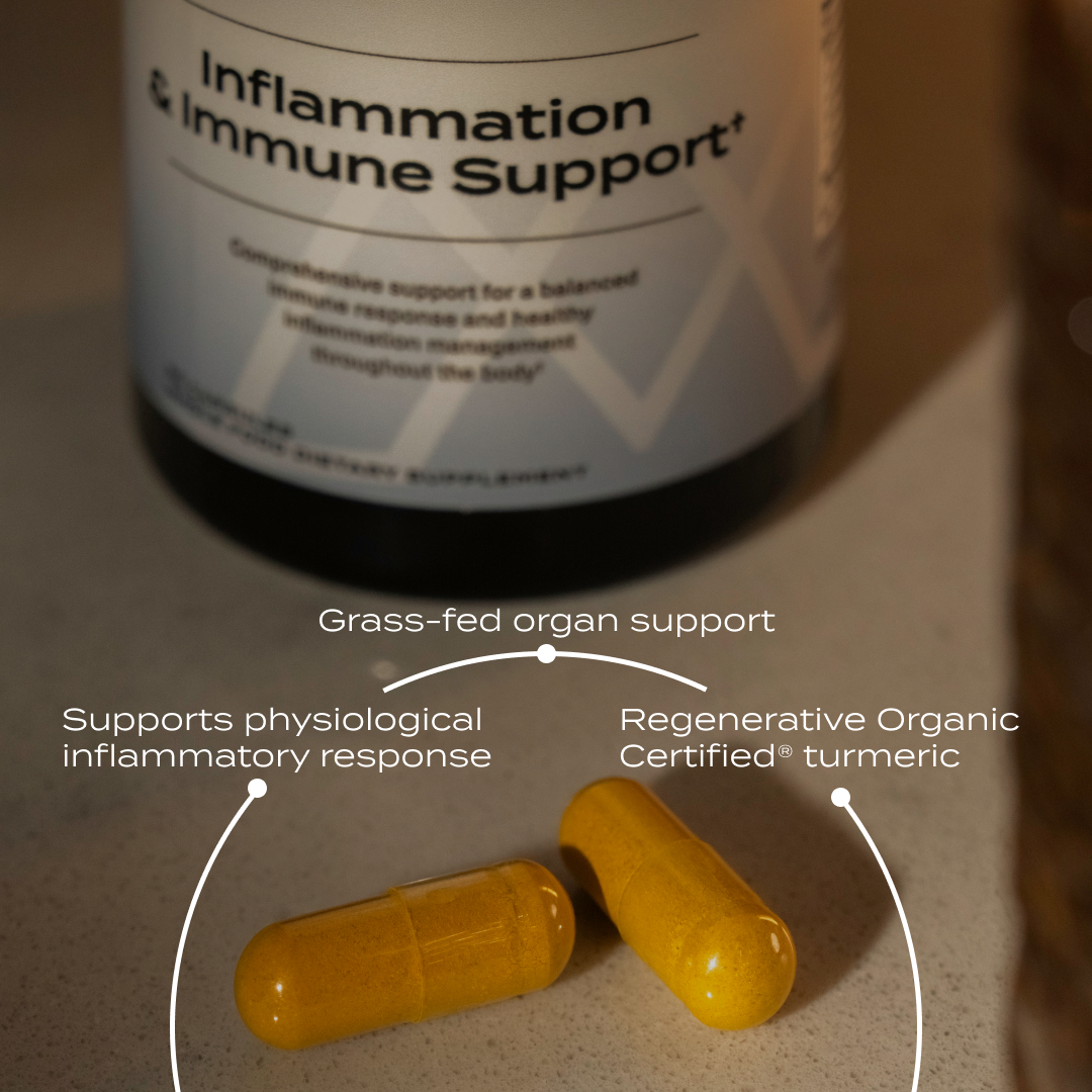 Inflammation & Immune Support – Comprehensive Joint, Immune & Recovery Formula