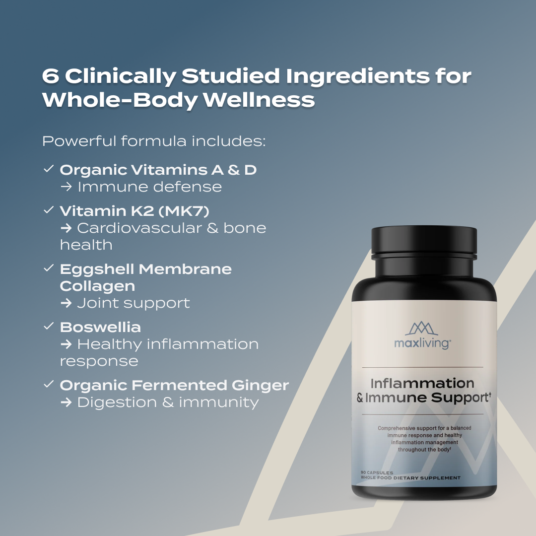 Inflammation & Immune Support – Comprehensive Joint, Immune & Recovery Formula
