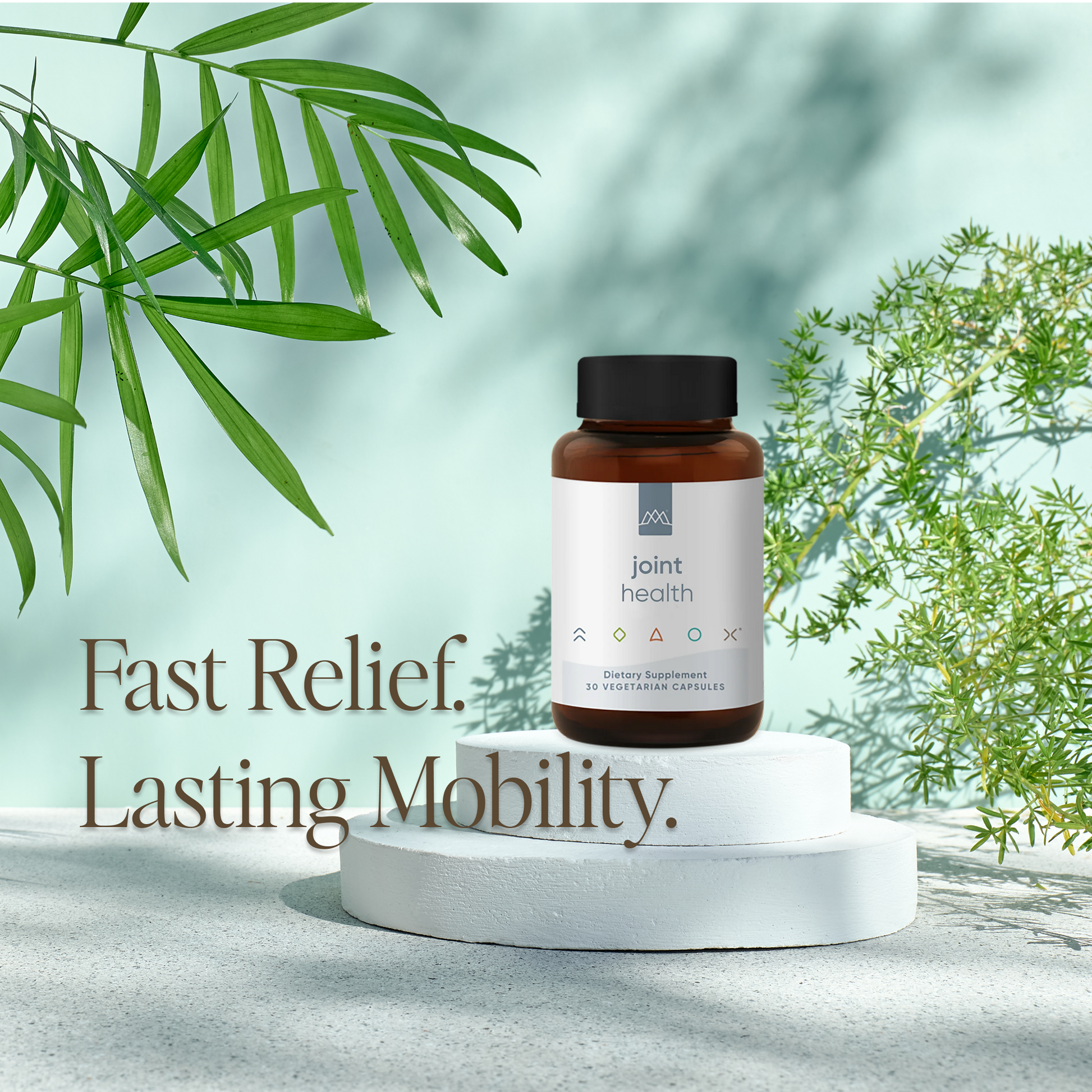 Joint Health – Boswellia, Type I & II Collagen & Hyaluronic Acid