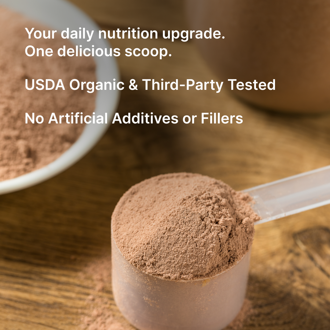 PurePath Max Greens Chocolate – Organic Superfood Powder with Probiotics & Digestive Enzymes