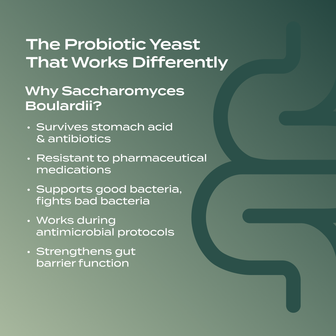 PurePath Microbiome Support – 10 Billion CFU Saccharomyces Boulardii for Gut Balance & Immune Health