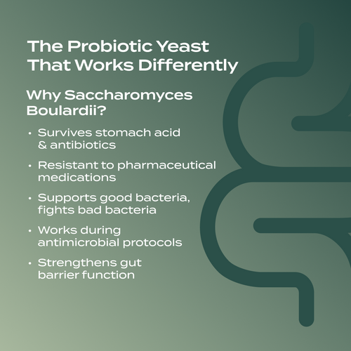 PurePath Microbiome Support – 10 Billion CFU Saccharomyces Boulardii for Gut Balance & Immune Health