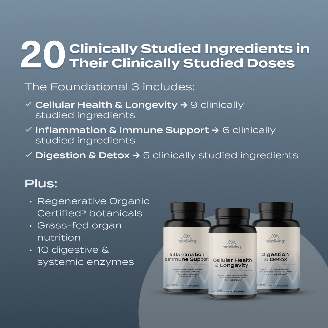 The Foundational 3 – Complete Supplement Bundle for Cellular Health, Immunity & Digestion